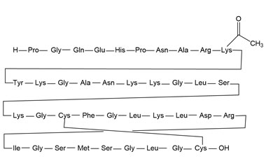 Vosoritide Lysin-10 Amine Acetylated